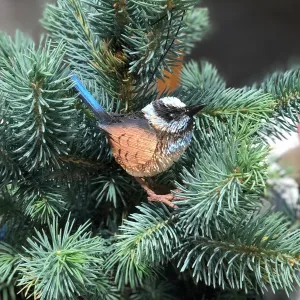 Bristle Brush Wren Hanging Decoration