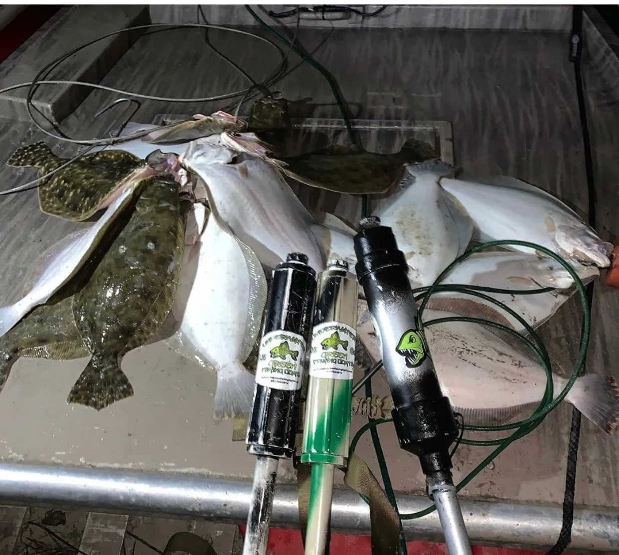 Giggin' Stick Flounder Finder 2000