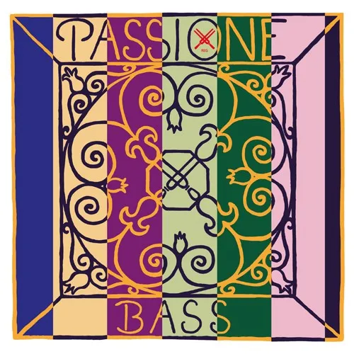 Passione Bass E String